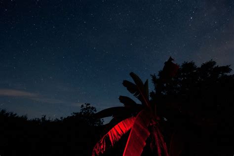 The answer to why we seem to be alone in the universe might be .